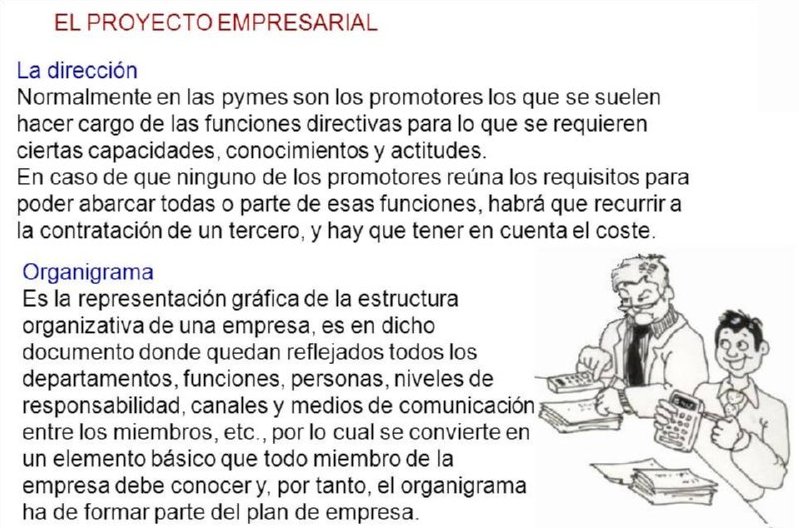 08 ORGANIGRAMA EMPRESARIAL